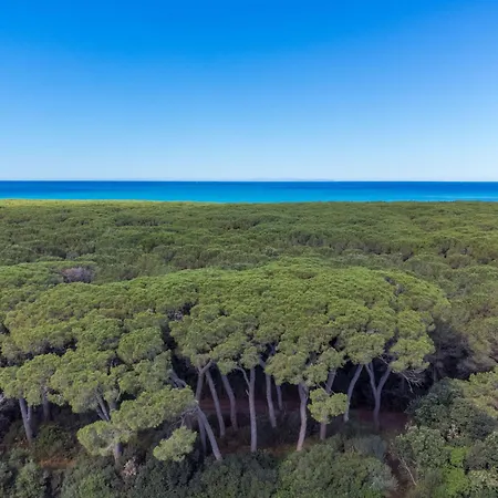 Daire Casa Fenix By Interhome *